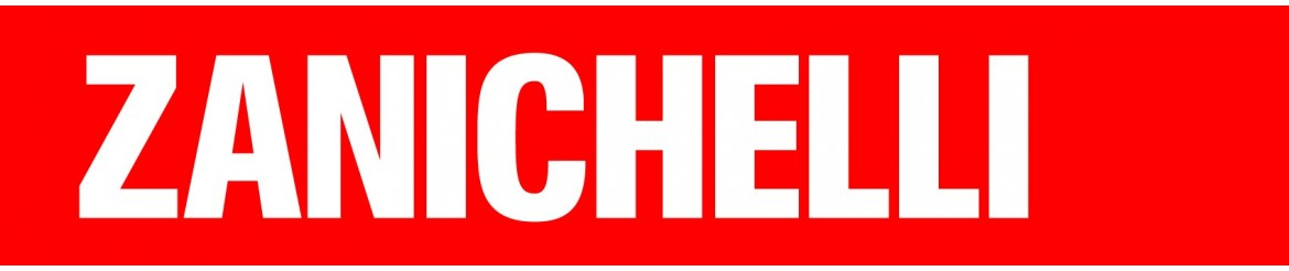 Logo di Zanichelli Editore S.p.A.